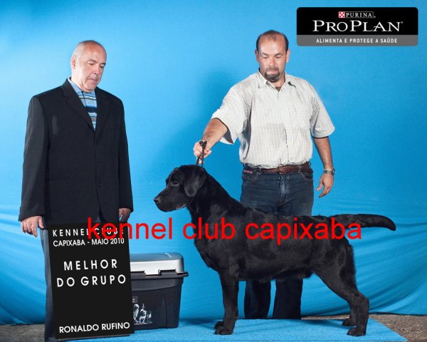 Clique sobre a foto para fechar